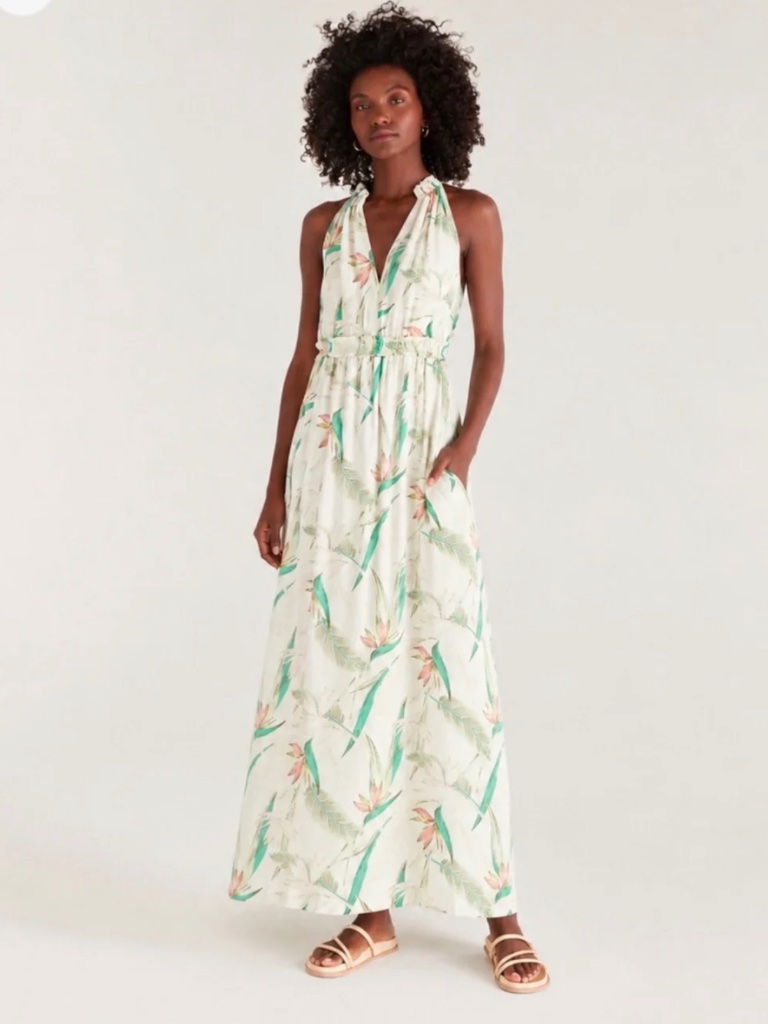 Z Supply Paradise Maxi Dress Small Nwot Tropical Floral Halter Rayon Lined